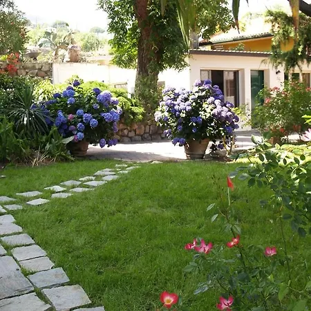 Roxanne Bed and Breakfast